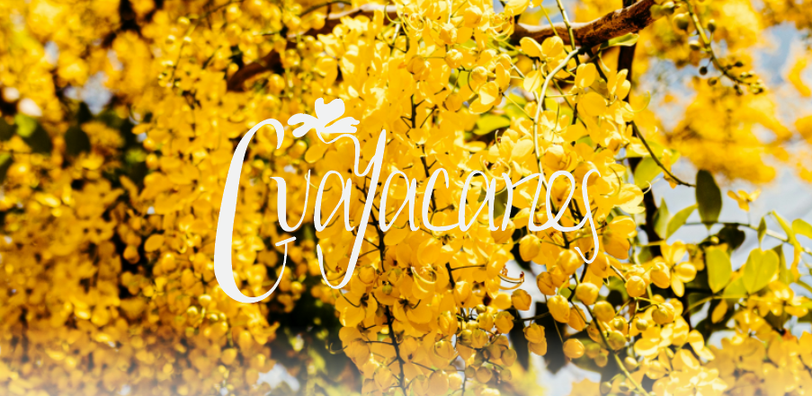 Guayacanes